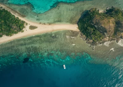 Island Paradise