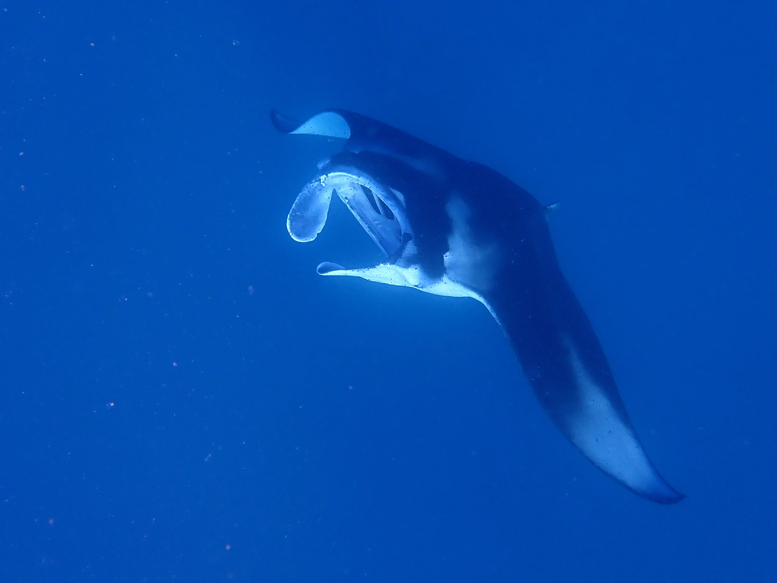 Fiji-Trip-Photo-31.webp