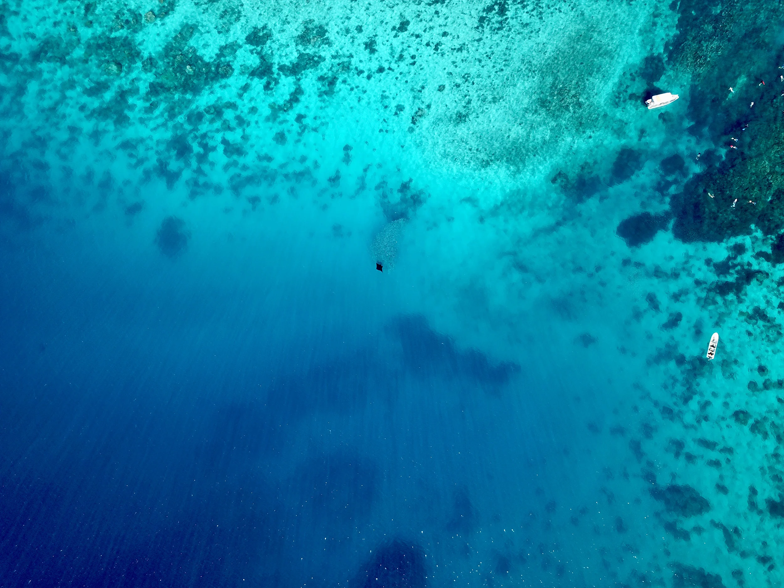 Fiji-Trip-Photo-7.webp