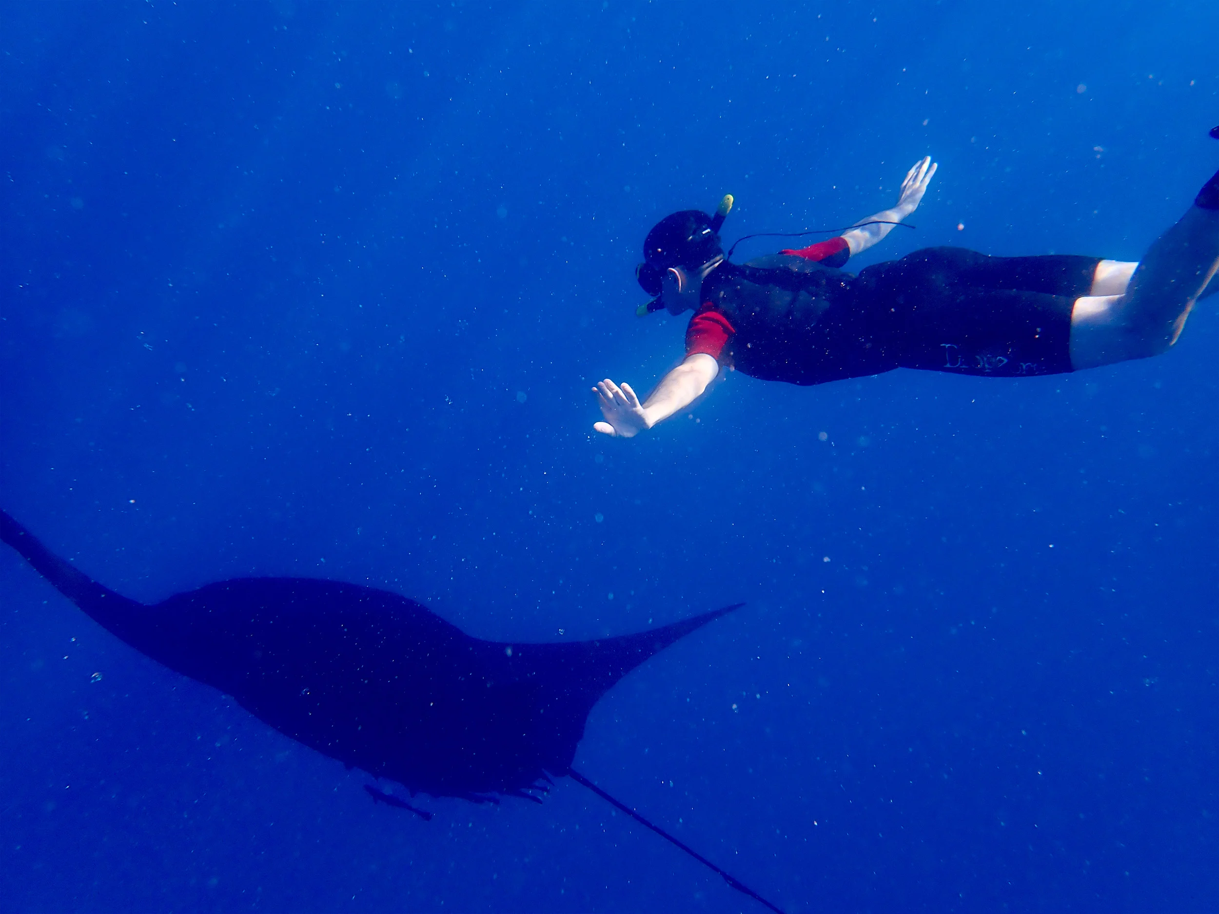Fiji-Trip-Photo-8.webp